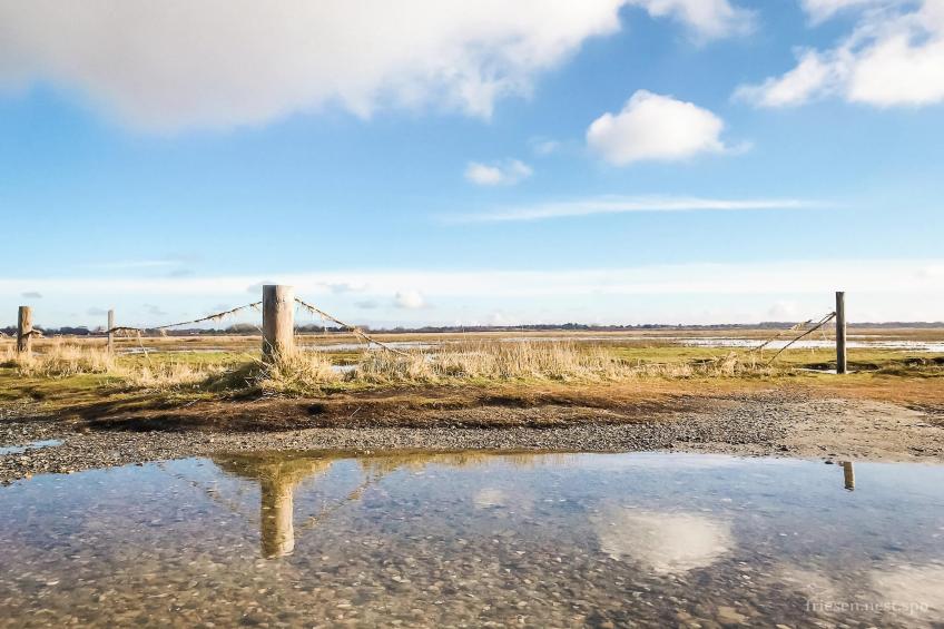 Ferienwohnung FriesennestSPO St Peter-Ording - foto 15