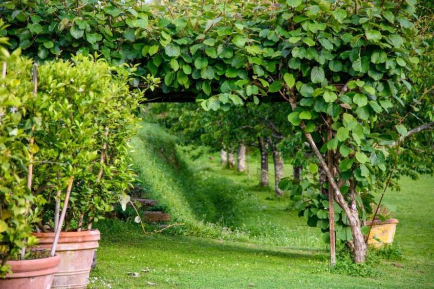 La Principessa - foto 15