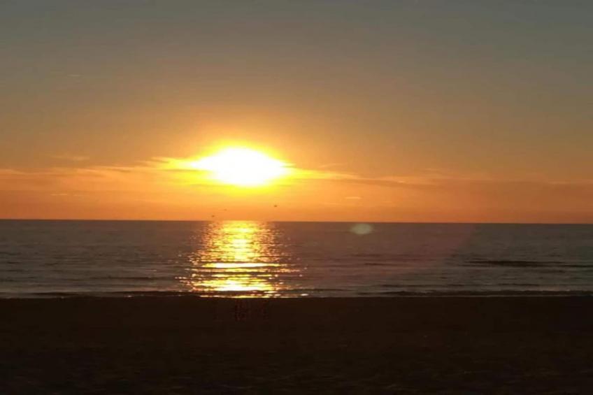 Zierow Z4A - foto 21