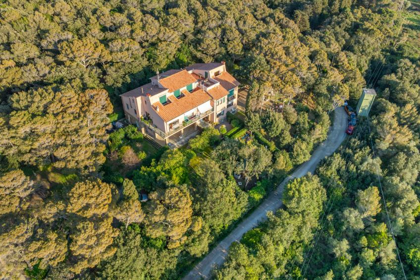 La casetta immersa nel verde - foto 43