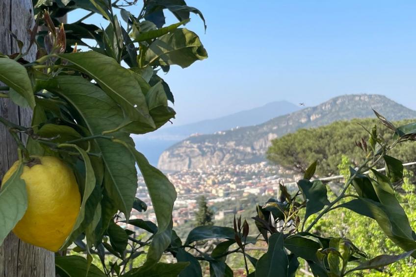 "Villa Flore" Sorrent und Amalfiküste - foto 12