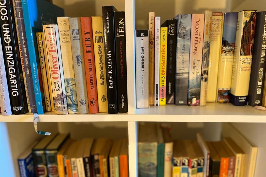 Vigneronne, Vigne - foto 10