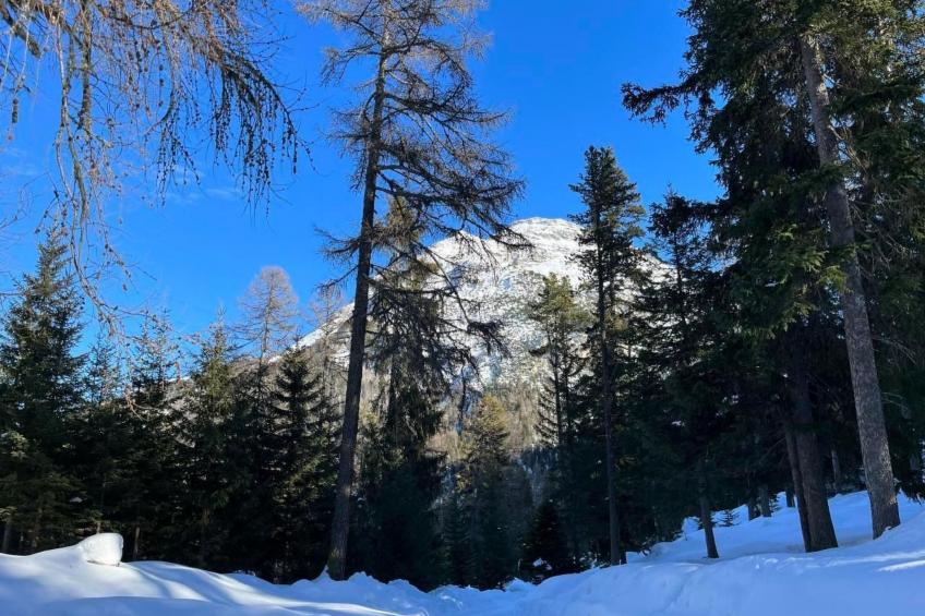 Chesa Giannuot - foto 11