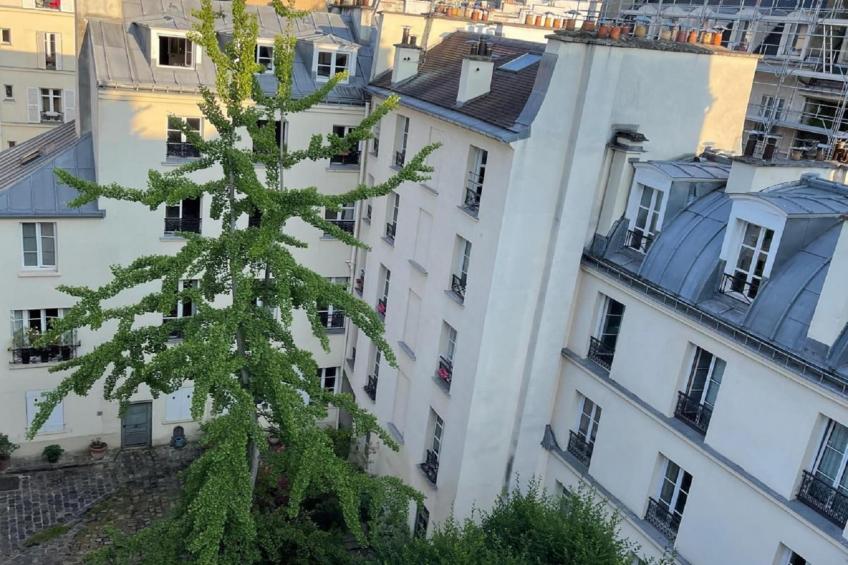 Appartement Paris 5eme - foto 7