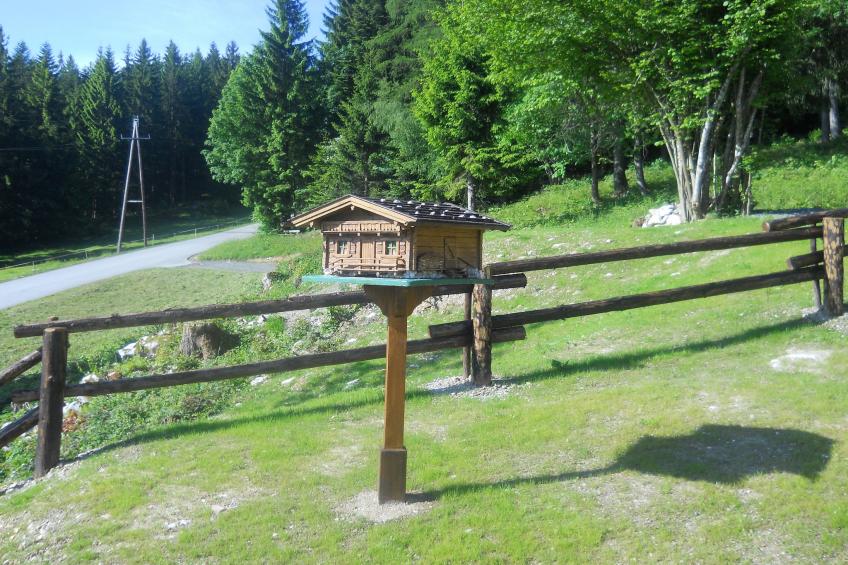 Chalet Niederndorferberg - foto 20