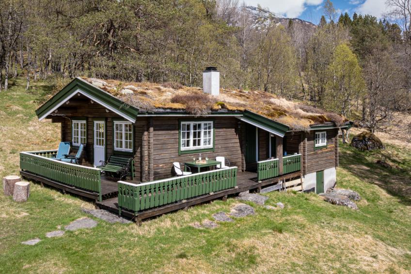 Fjellro (FJS103) - foto 23