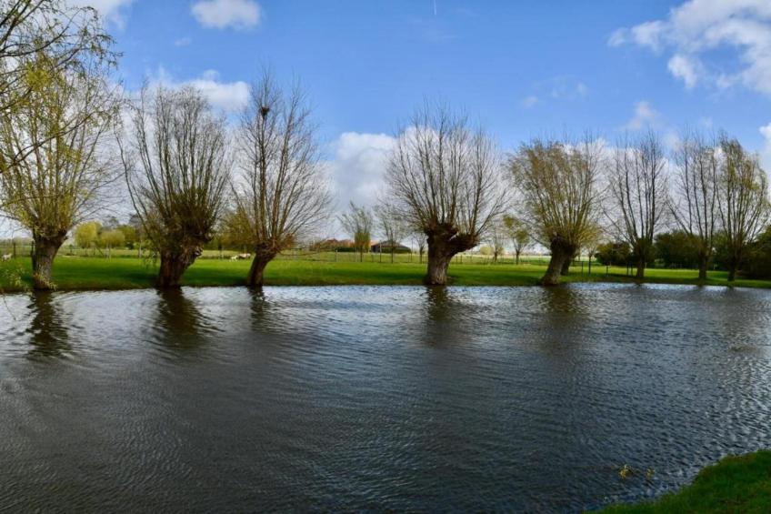 APOLLO X / 0405 - foto 25