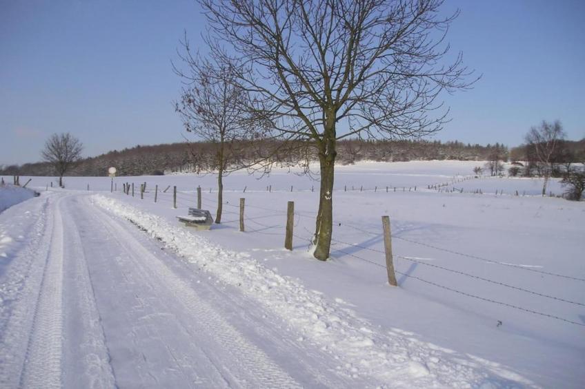Ferienwohnung Gisela - foto 40