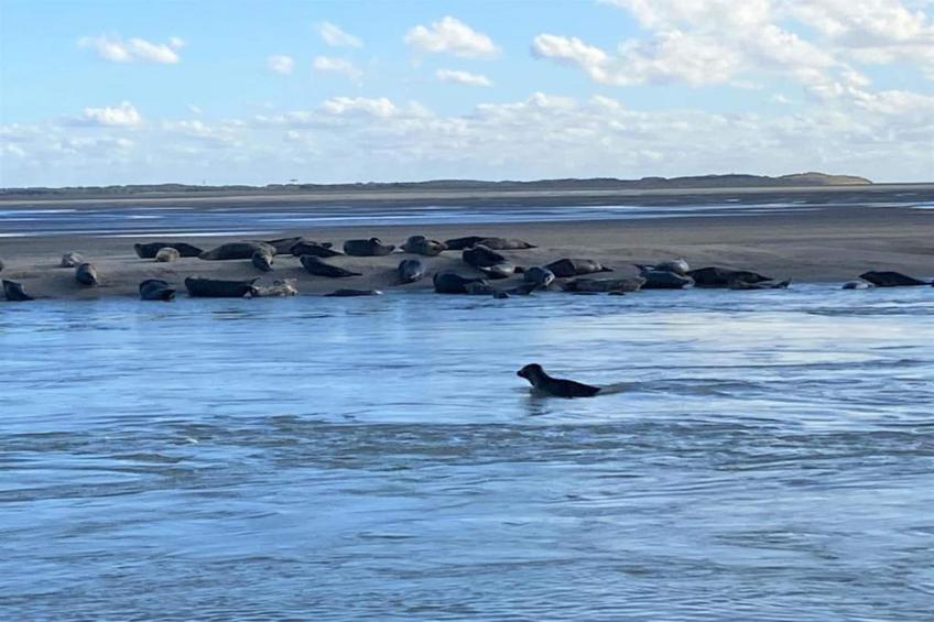 Résidence les Villas de la Baie - foto 24
