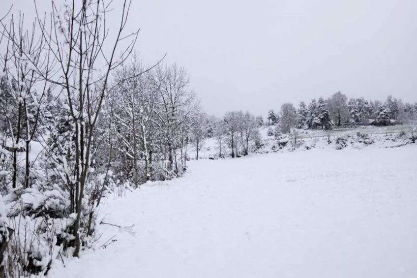 Gîte de France La grange d'elie 3 épis - foto 27