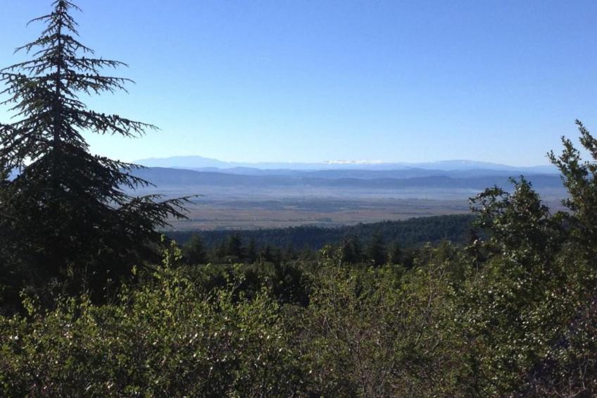 Résidence Côté Canal - foto 33