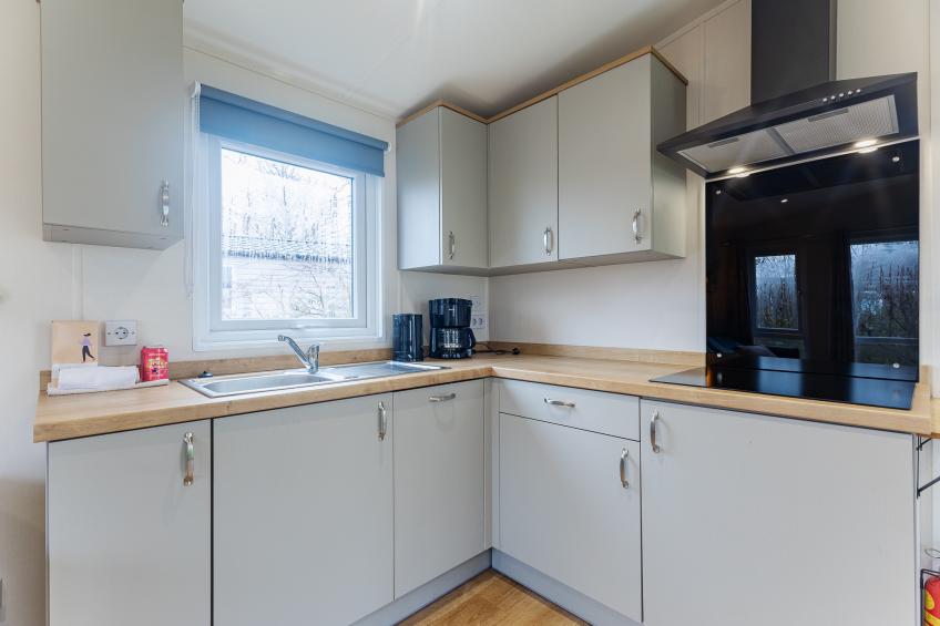 Duinhoeve Chalet Vogel - Huisdier niet toegestaan - foto 4