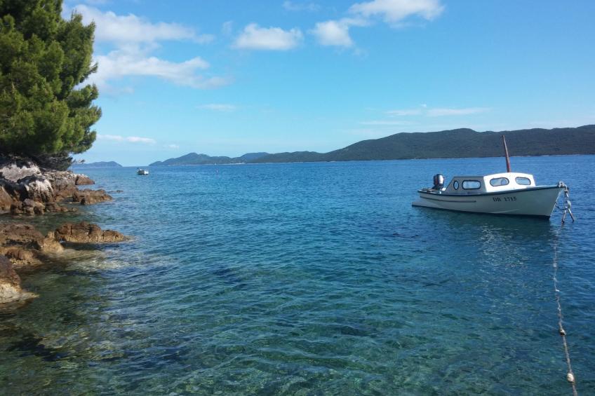 "Purple Sunset" - foto 16