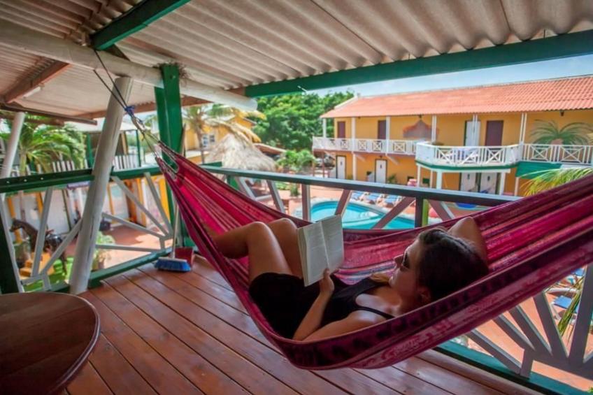 Helle Ferienwohnung mit gemütlicher Hängematte - foto 4