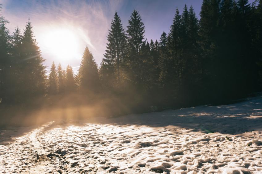 Villa Linda Studio (1-3 Pax) - foto 19