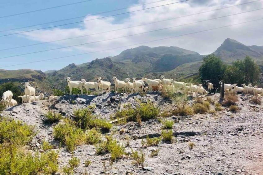 Casa Montaña de Alegria - foto 31