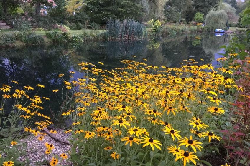 Ferienbungalow Anne - foto 17