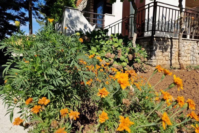 Apartment 2390 - foto 3