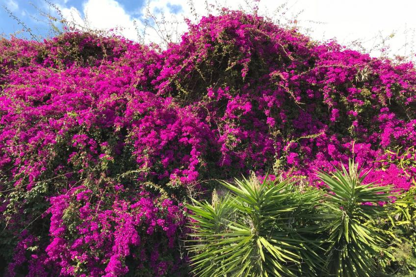 mit Blick auf das Wasser - foto 15