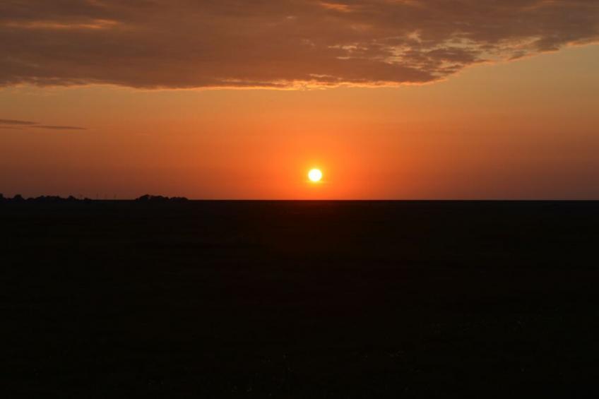 234802 - foto 23