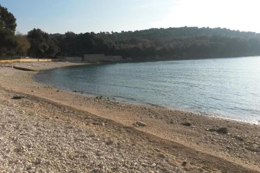 Delux Mobile home 8 - foto 38