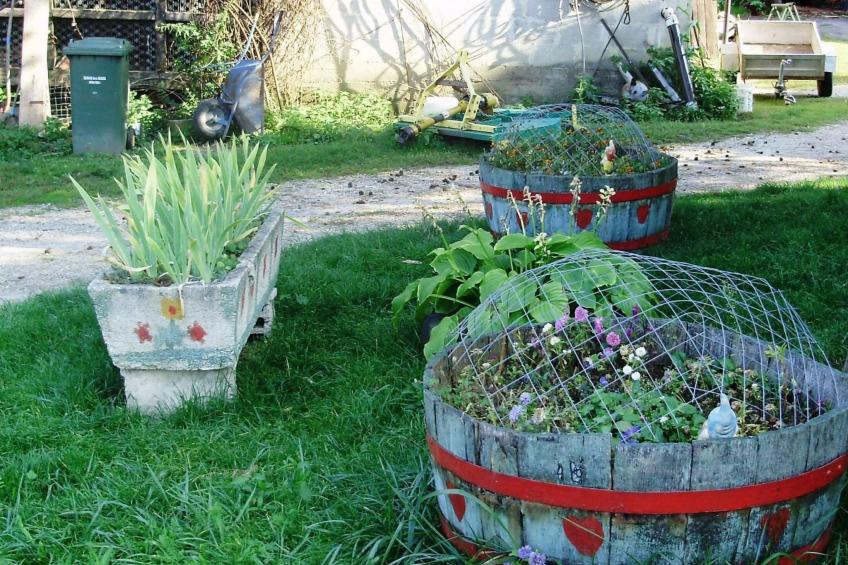 für Naturliebhaber und Ruhesuchende - foto 11