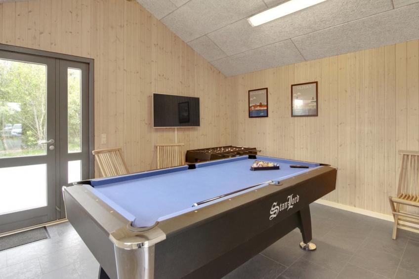 "Benita" - 400m to the inlet in Western Jutland - foto 9