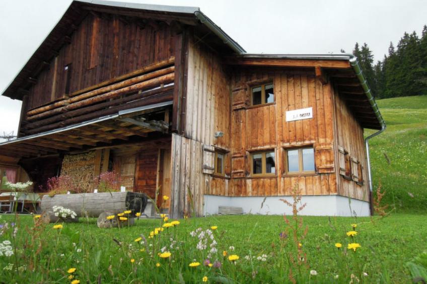 Maiensäss La Casa Cathomen, Brigels, (Breil/Brigels), 65004B - foto 2