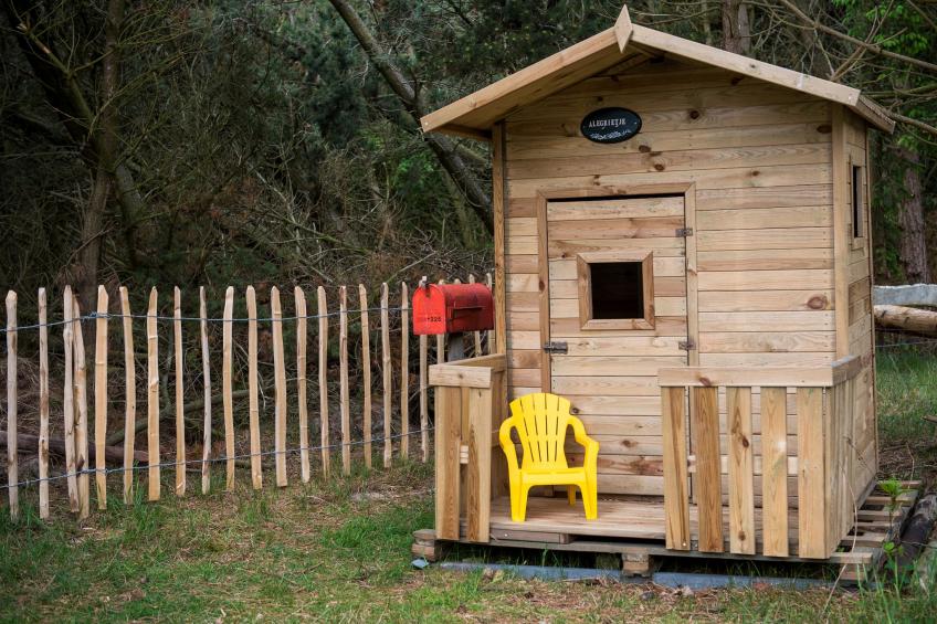 Alegria (9p) - foto 35