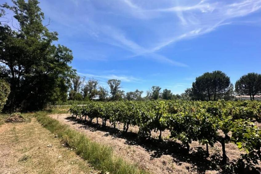 Résidence Gîte Du Mas - Charmant Gîte Provençal Avec Jardin Commun - foto 15