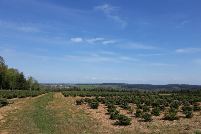 Au Coeur d'Alle - Double Room with Large Double Bed - foto 32