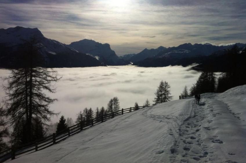 Tgea Beverin - foto 2