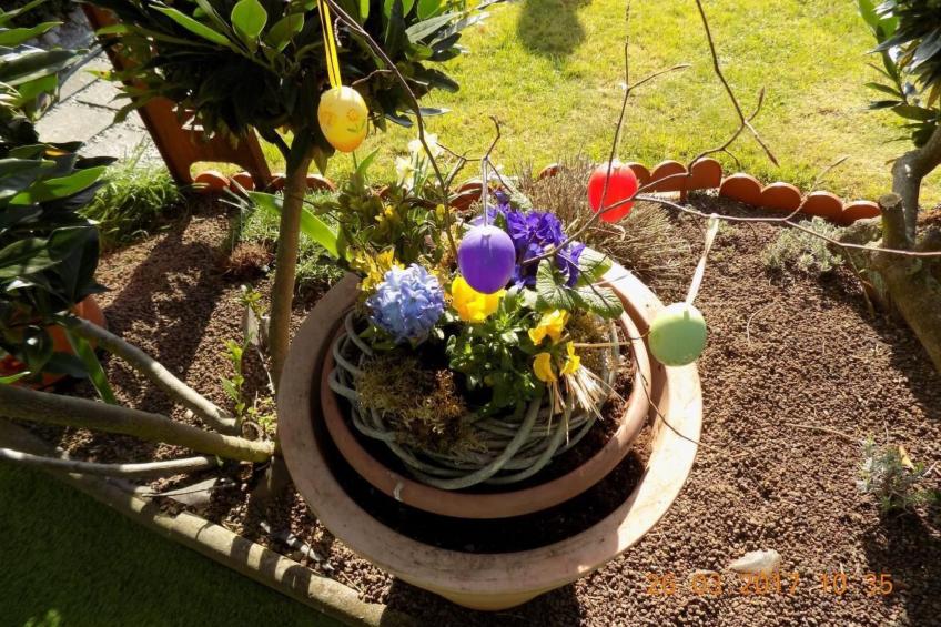 Appartement mit Terrasse - foto 27