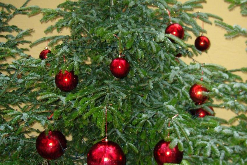 in Sankt Koloman mit Großer Terrasse - foto 35