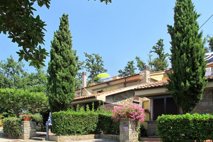 Dalia - foto 32