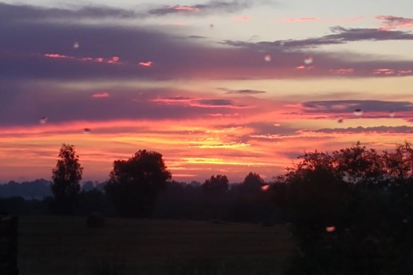 Vogelecke - abseits des Trubels und der Hektik - foto 24