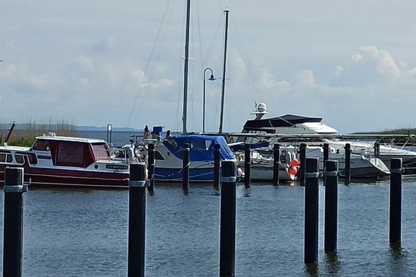 in Altwarp mit Botanischem Garten - foto 7