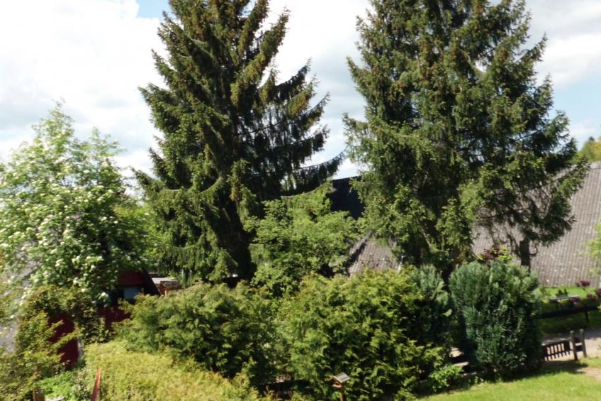 Nur-Dach-Ferienhaus für vier Personen - foto 22