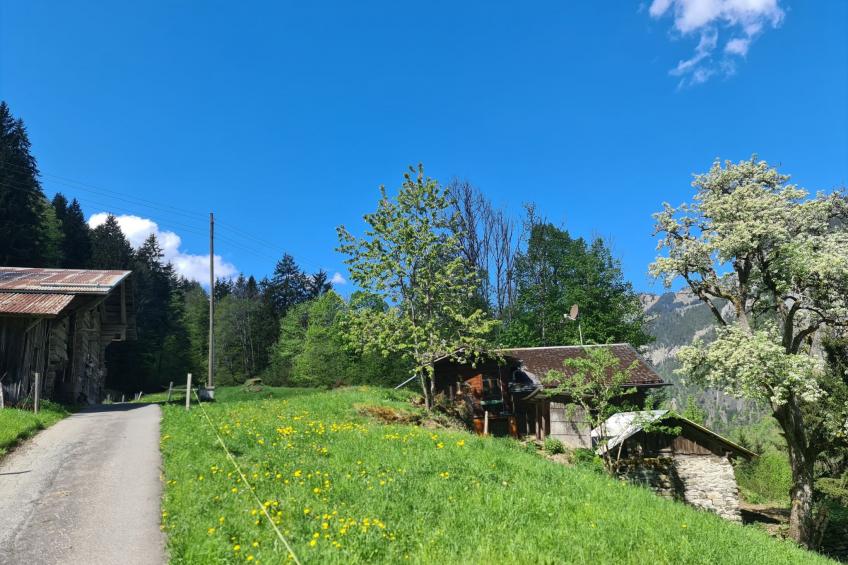 FF Bergmomente - foto 24