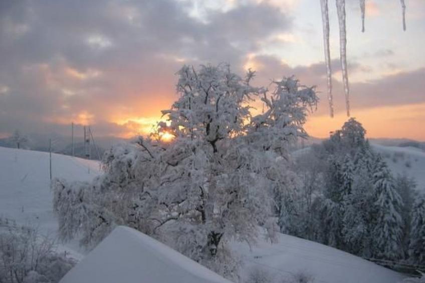 Ober-Tiefenbühl - foto 20