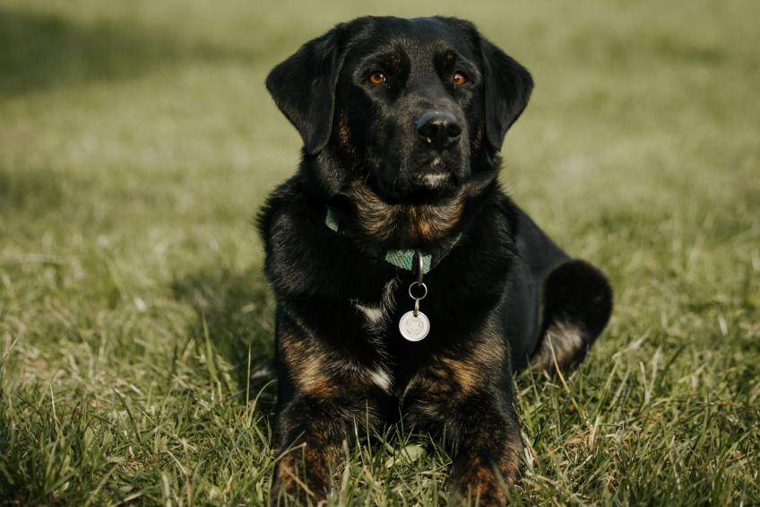 Hof Obertalgut - foto 10