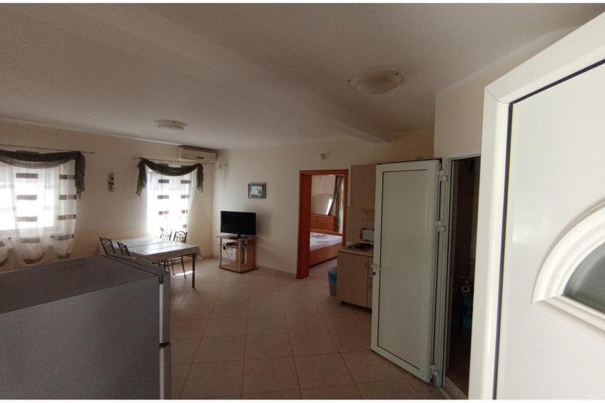 Delfin 2 - foto 11
