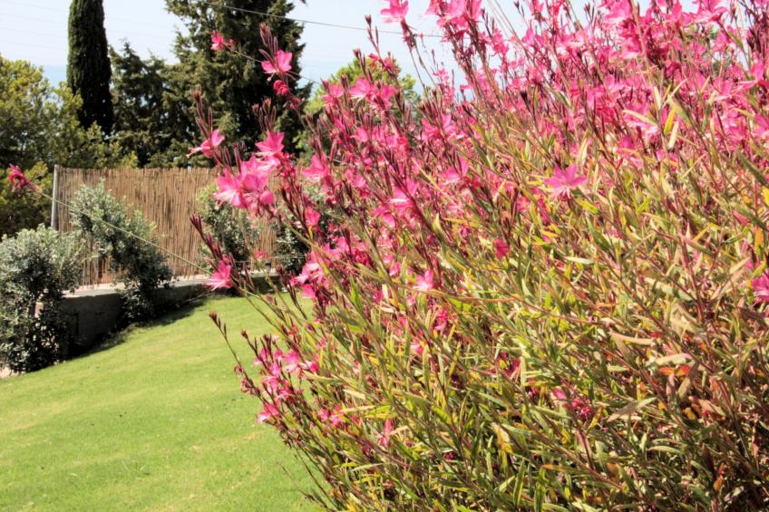 Villa CostaMare - Luxuriöse, neu gebaute Steinvilla - foto 12