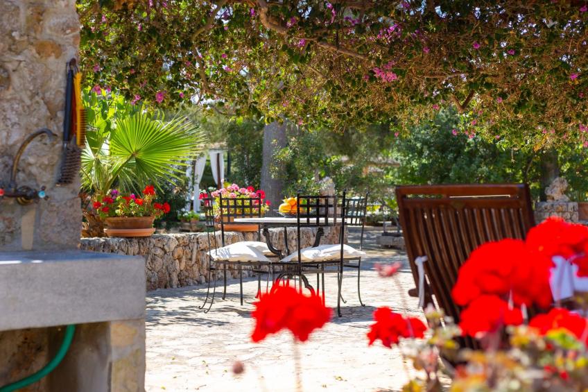 Mulet Llubi - foto 36