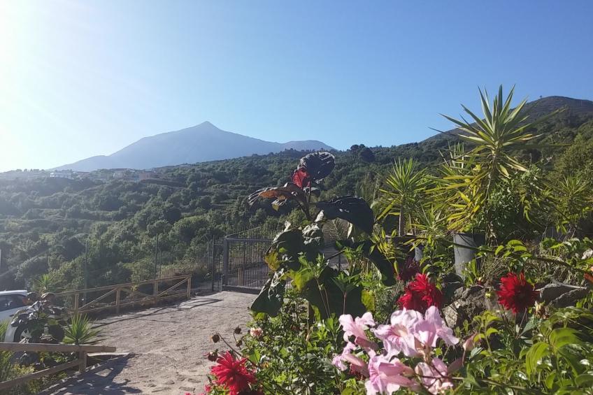 Ecolodge Tenerife 3  bedroom c - foto 3