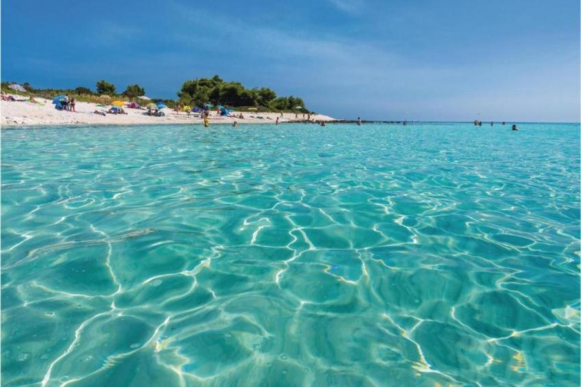 Gorgonia S2 - foto 21