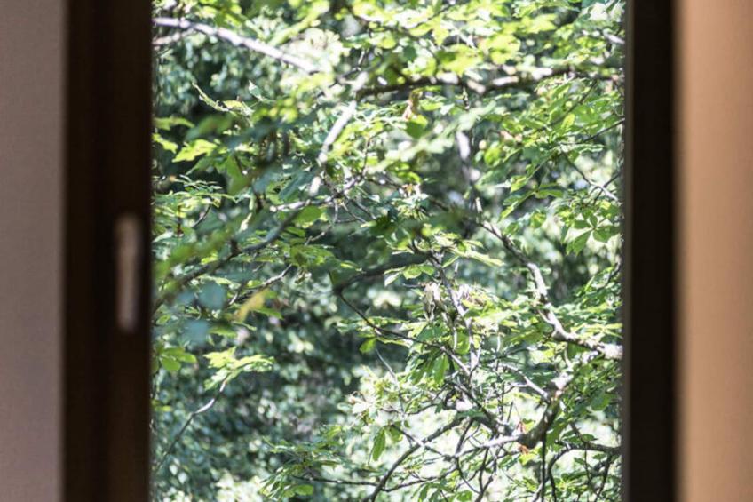 Maison à Sant Hilari Sacalm - foto 33