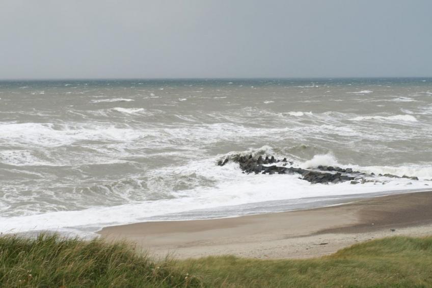 "Heming" - 100m from the sea in Western Jutland - foto 7