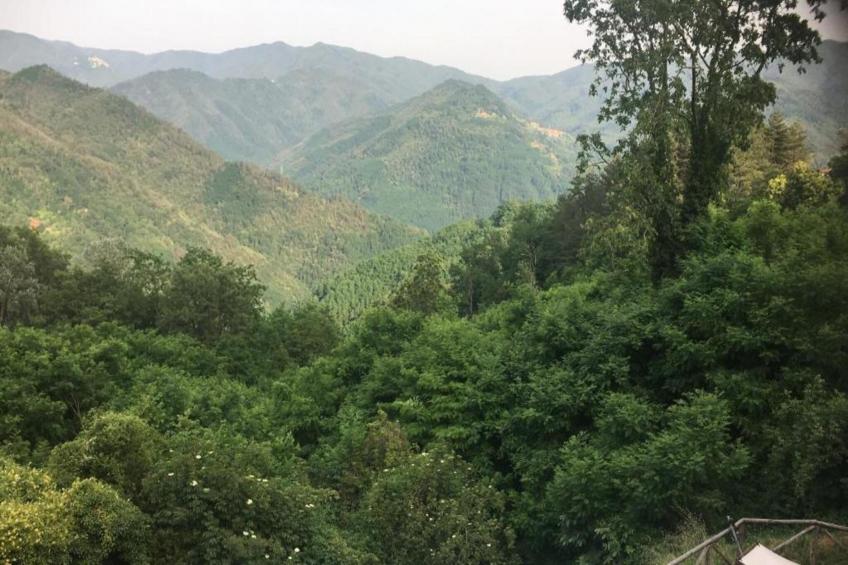 Longoio rifugio - foto 26