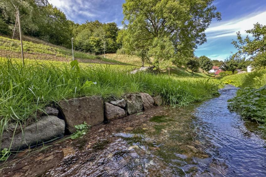 Gläserberg - foto 15